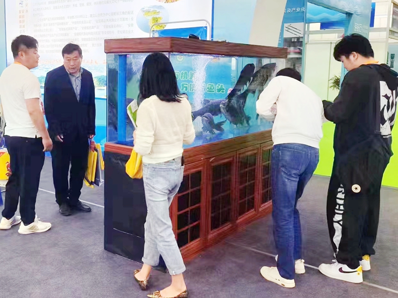 萬佛湖有機魚榮膺第六屆中國國際現(xiàn)代漁業(yè)博覽會金獎 萬佛湖有機魚榮膺第六屆中國國際現(xiàn)代漁業(yè)博覽會金獎