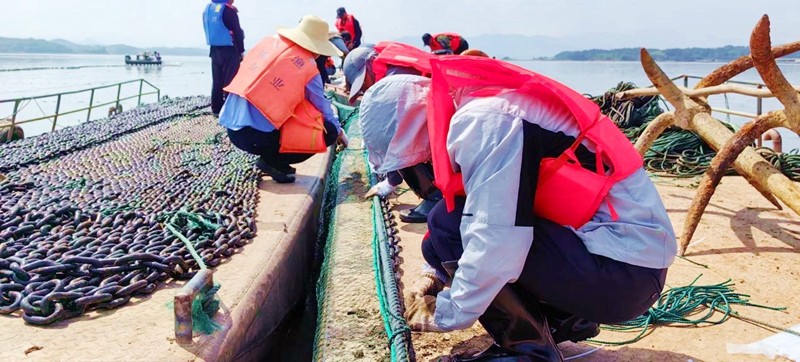 保水凈水—萬佛湖漁業(yè)公司更換大水面三處攔魚設(shè)施